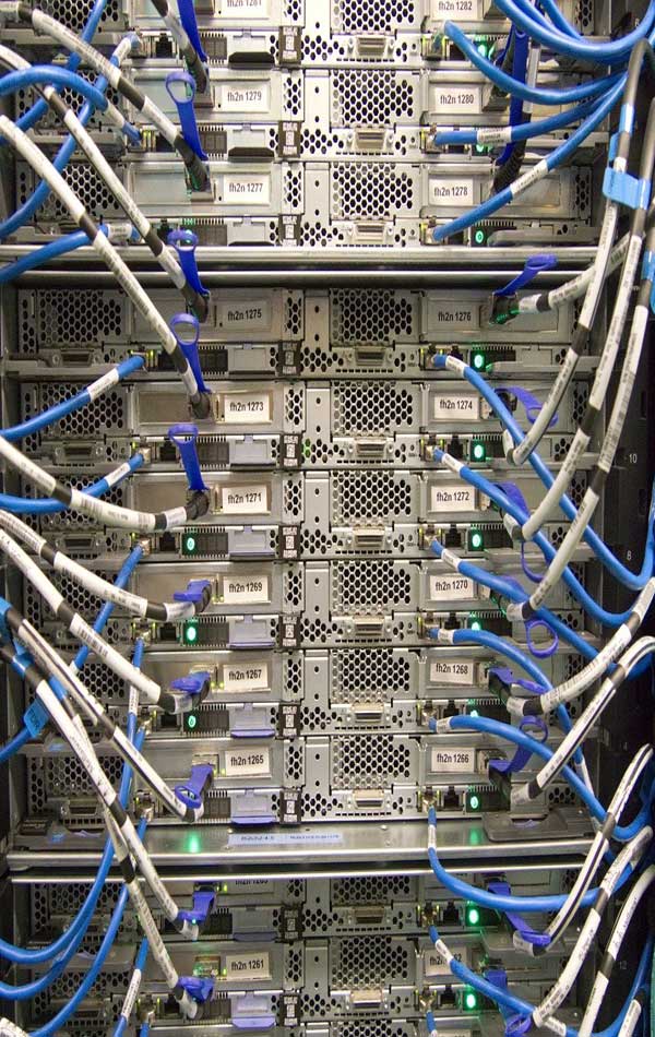 Photo-3